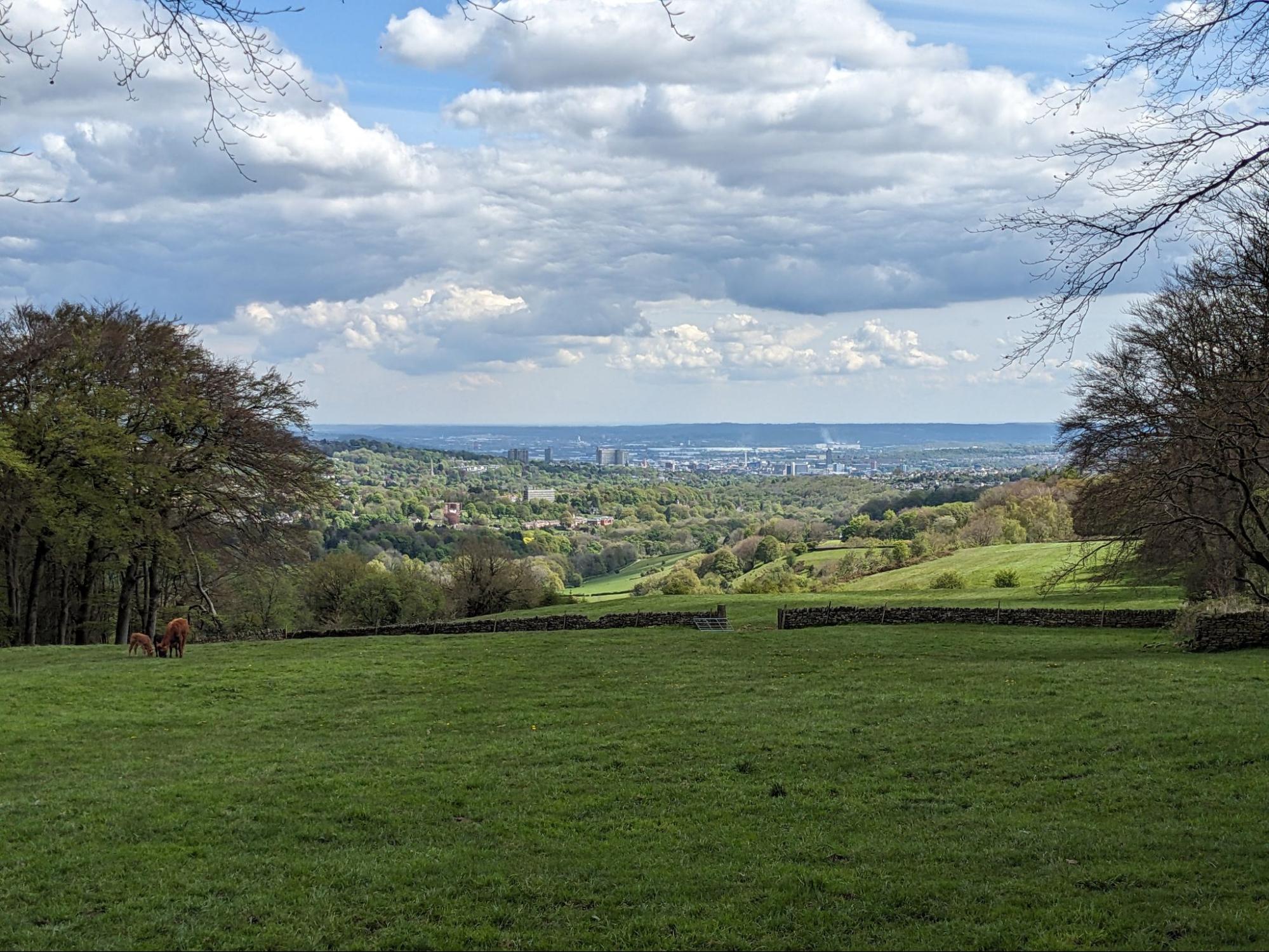 View of Sheffield from the top of the Porter Valley showing green hills and the city in the distance